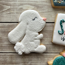 Load image into Gallery viewer, Sweet Bunny