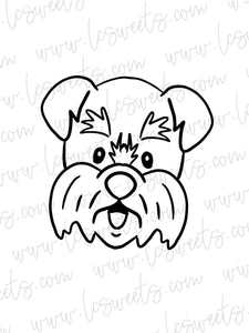 Dog Schnauzer