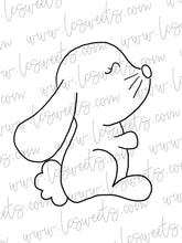 Load image into Gallery viewer, Sweet Bunny