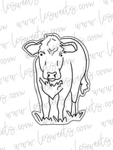 Load image into Gallery viewer, Hereford Cow Full