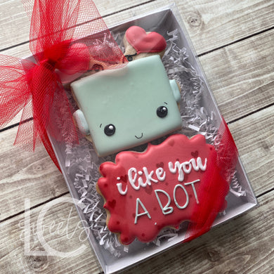 Valentine 2 Pack - Robot