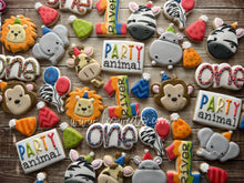 Load image into Gallery viewer, Party Hat